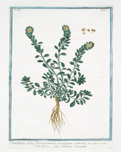 Load image into Gallery viewer, 18th Century Deep Green Foliage Art Print
