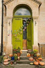 Load image into Gallery viewer, Halloween Bat Garland
