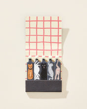 Load image into Gallery viewer, Cats Matchbook
