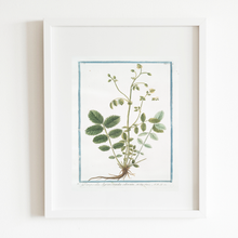 Load image into Gallery viewer, 18th Century Greenery Art Print
