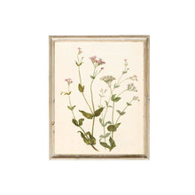 Load image into Gallery viewer, Wildflower Print
