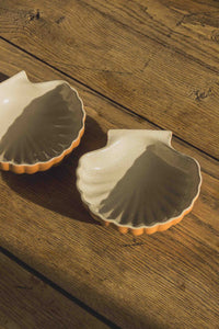 Seashell Dish