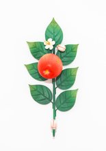 Load image into Gallery viewer, Apple Fall Wall Hook

