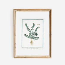 Load image into Gallery viewer, 18th Century Deep Green Foliage Art Print
