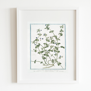 18th Century Blue Floral Buds Art Print
