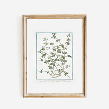Load image into Gallery viewer, 18th Century Blue Floral Buds Art Print

