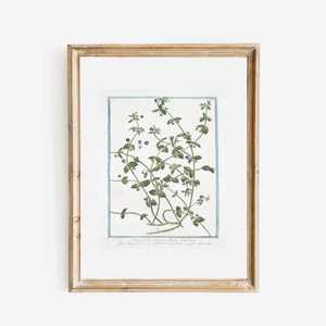 18th Century Blue Floral Buds Art Print
