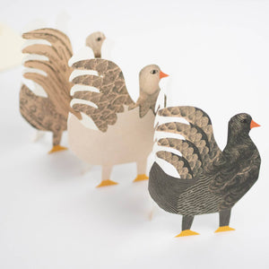 Chickens Concertina