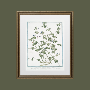 18th Century Blue Floral Buds Art Print