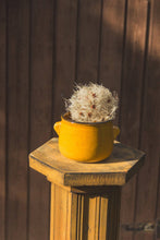 Load image into Gallery viewer, French Yellow Varnished Pot
