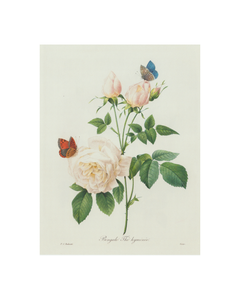 Butterfly Rose Print