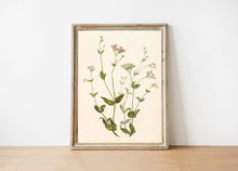 Load image into Gallery viewer, Wildflower Print
